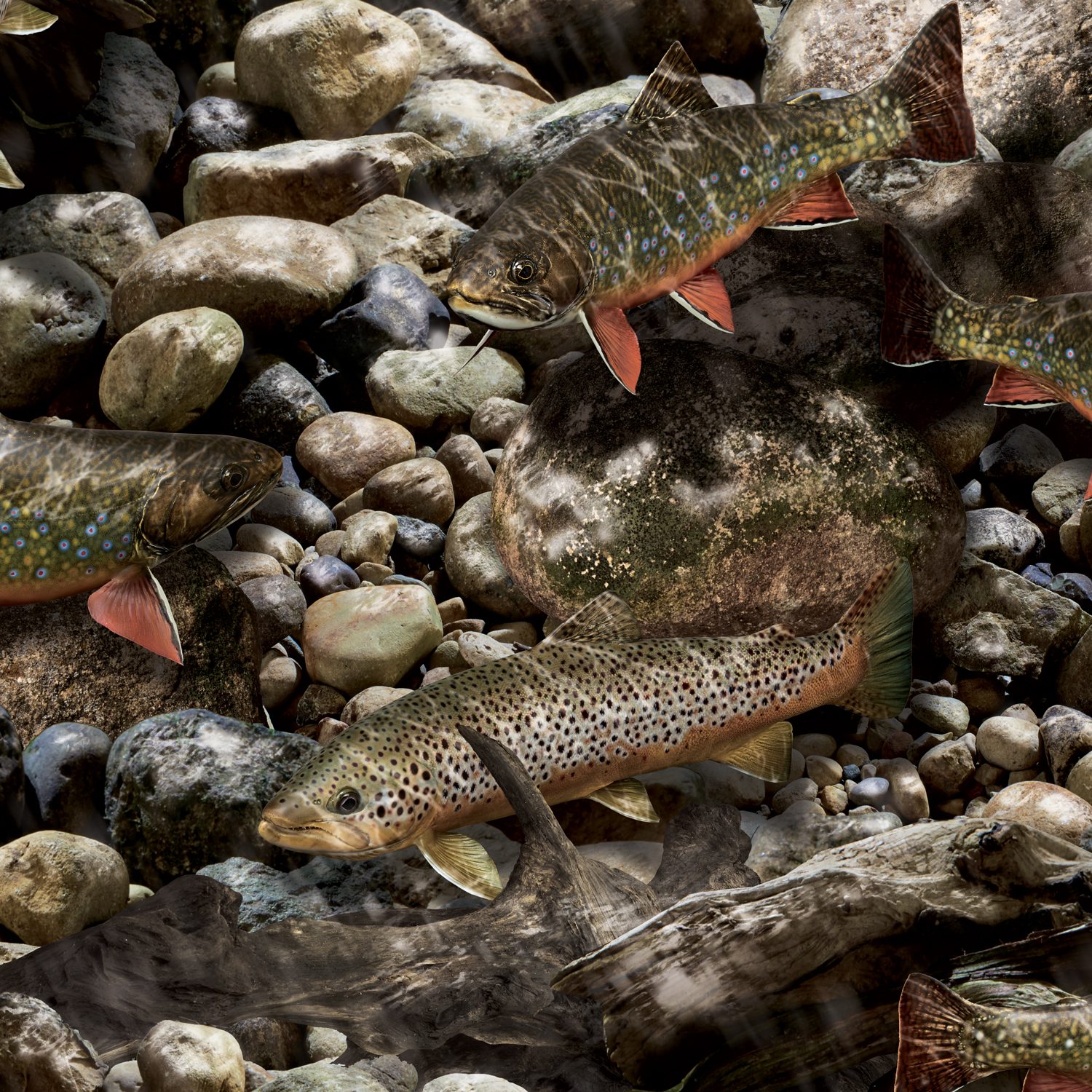 Weekender Camp Sweatpants (Trout) - Image 5